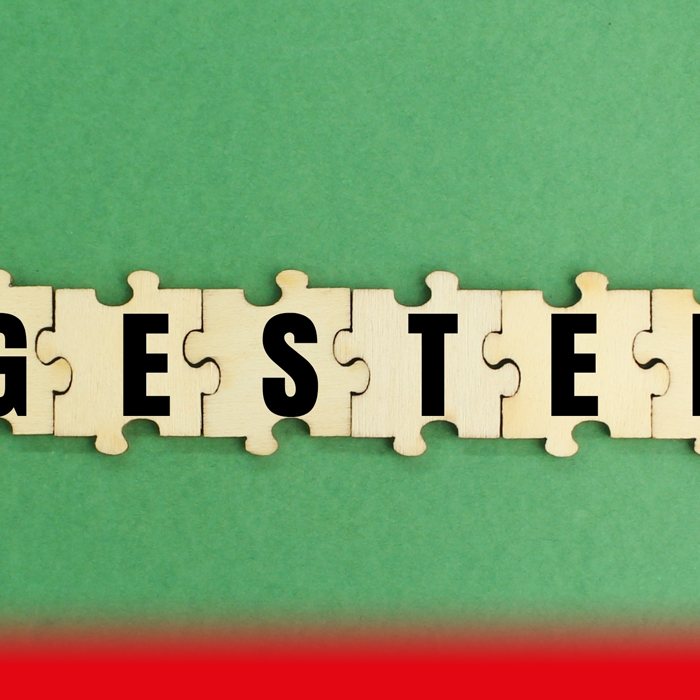 puzzle spelling progesterone