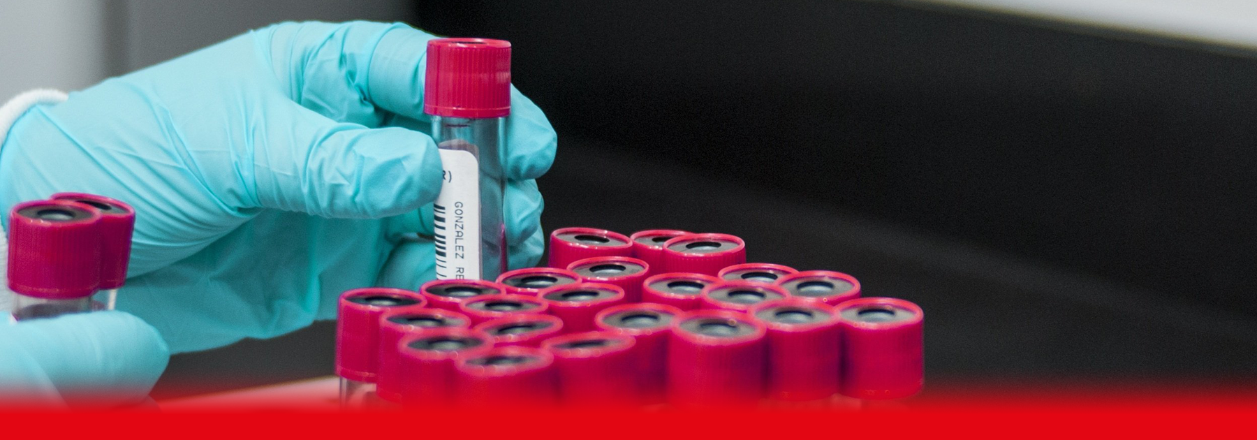 doctor holding blood sample