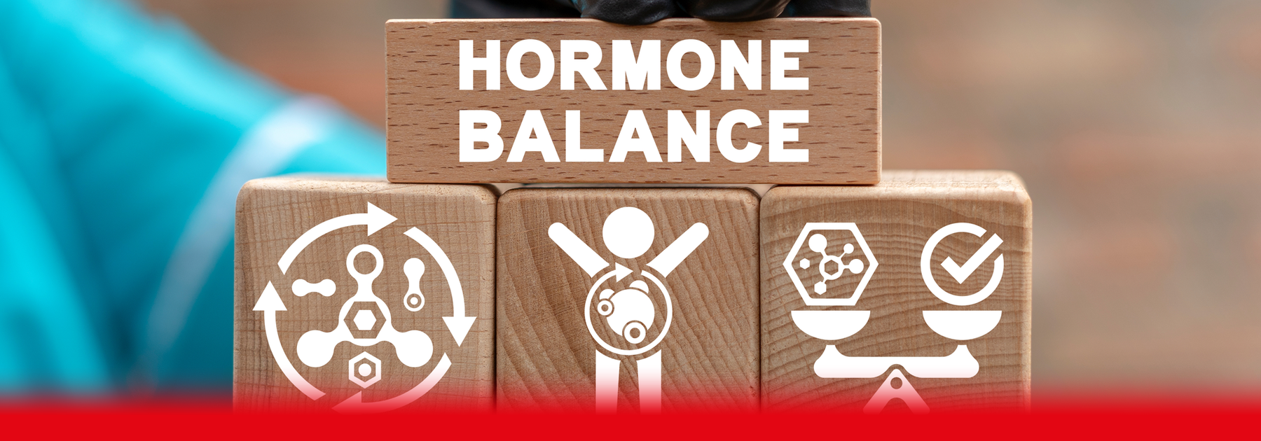 hormone balance blocks