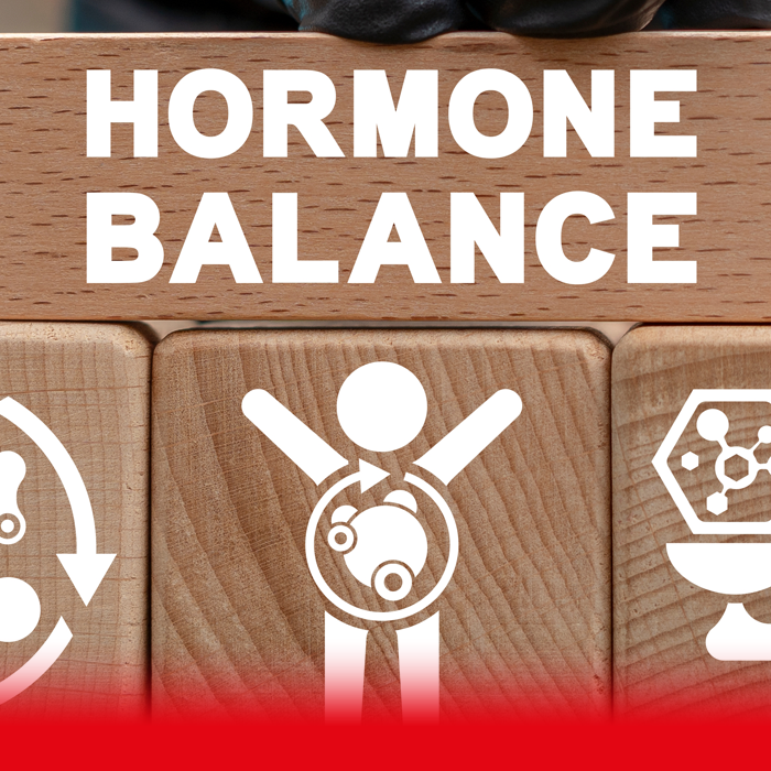hormone balance blocks