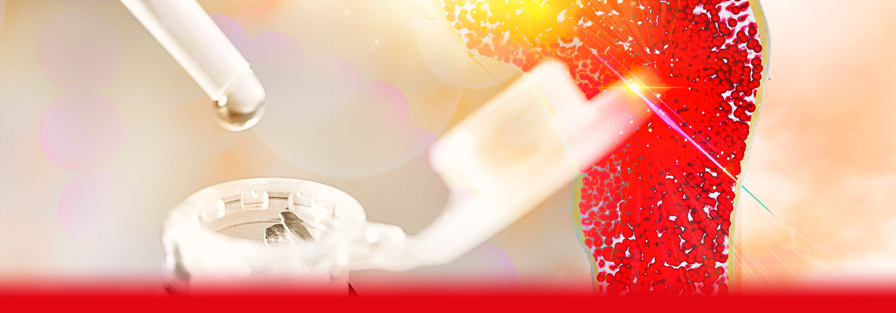 bone testing graphic