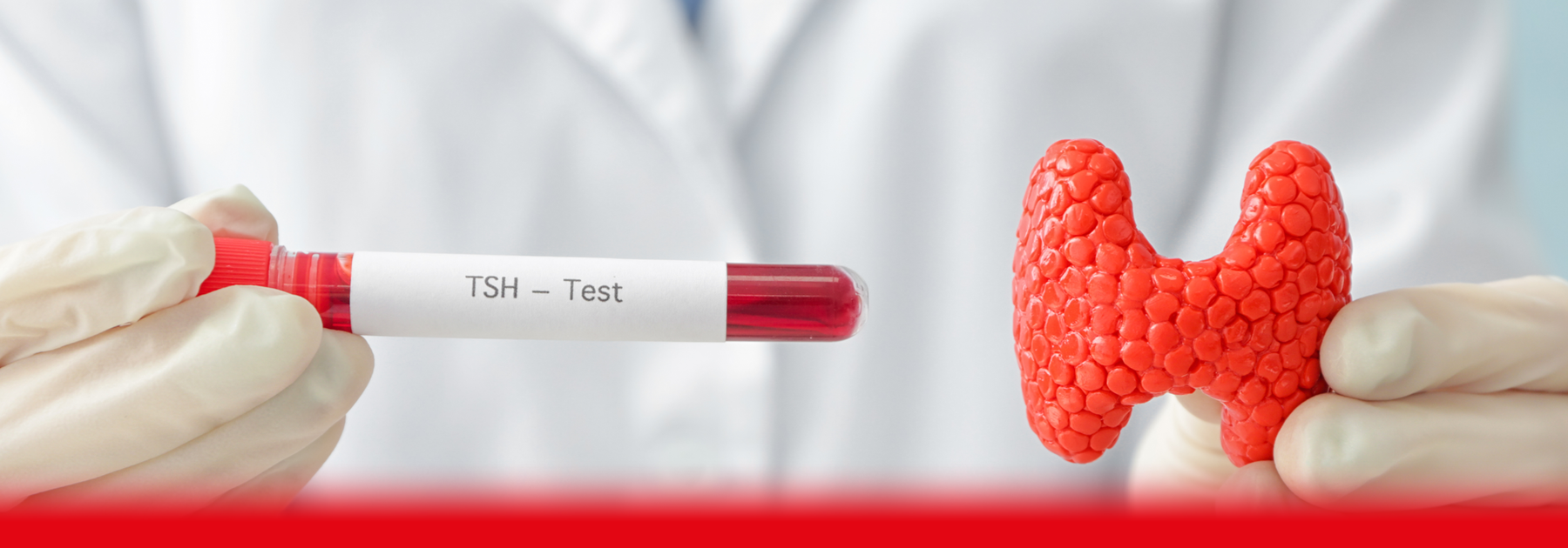 doctor holding blood testing tube