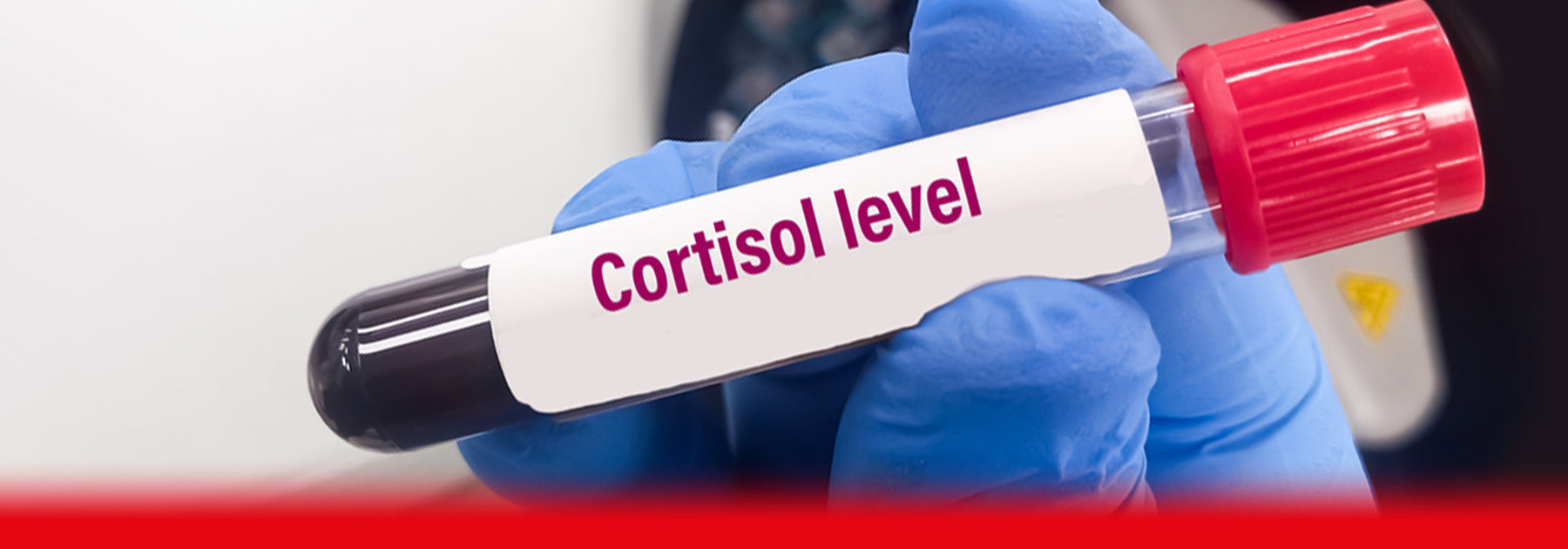 cortisol test blood testing tube