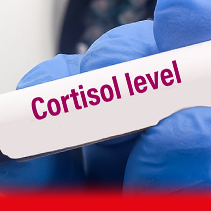 cortisol test blood testing tube