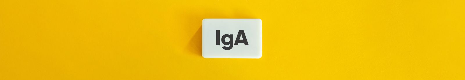 IgA header