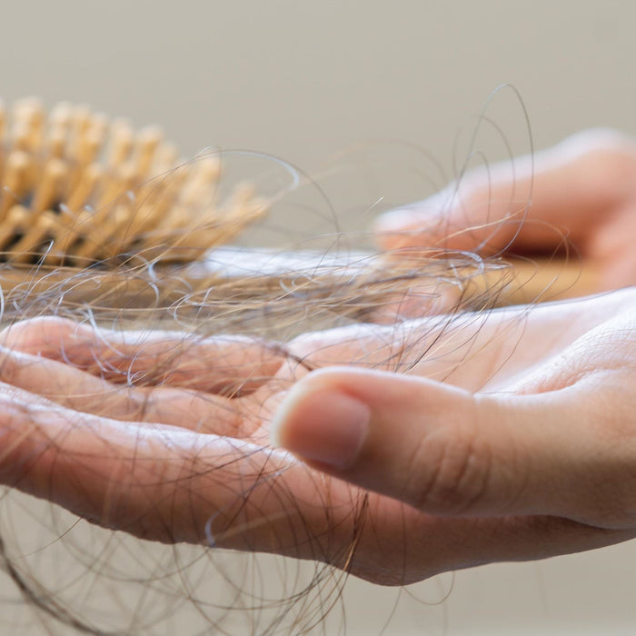 Hair loss on hairbrush