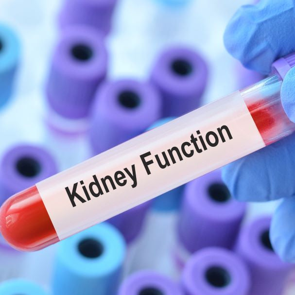 Kidney function blood test