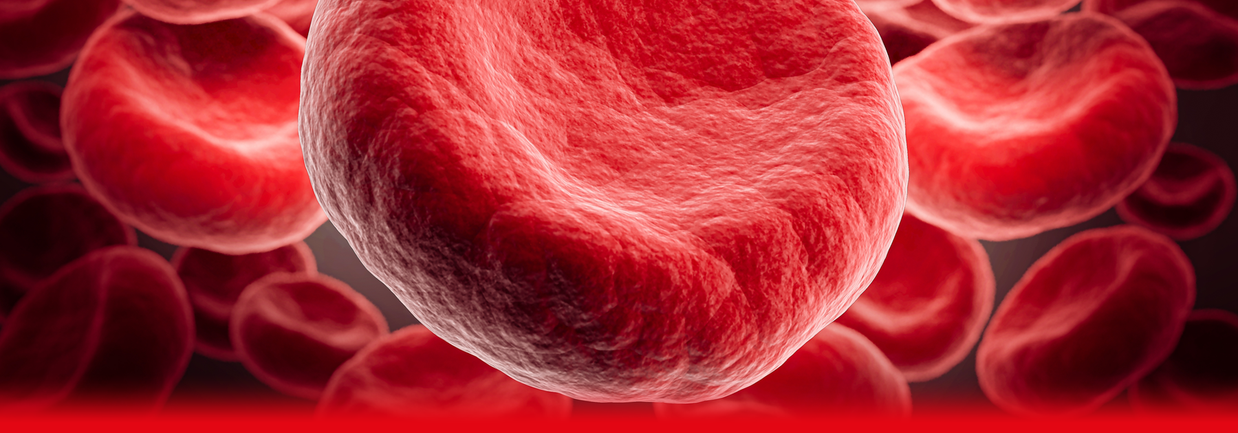 blood cells