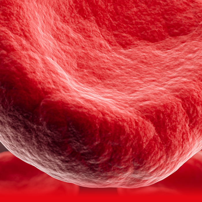 blood cells