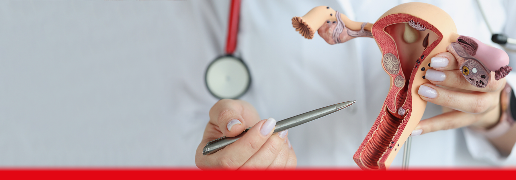 doctor looking at reproductive parts