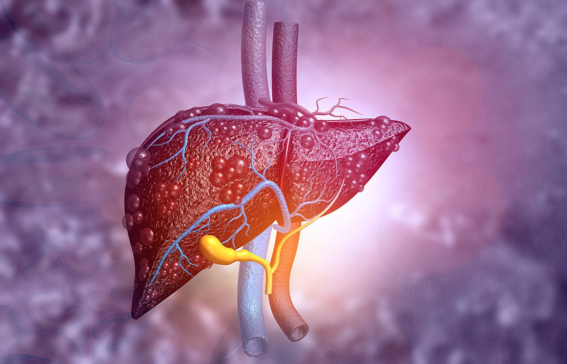 liver function blood tests to combat liver function disease