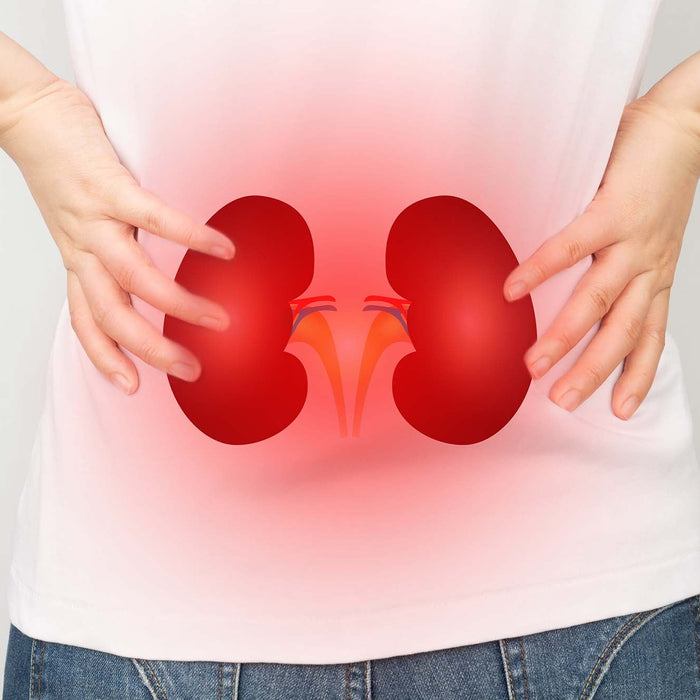 Chronic kidney disease image with location of kidneys