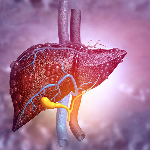 The Ultimate Guide to Home Liver Function Testing in the UK