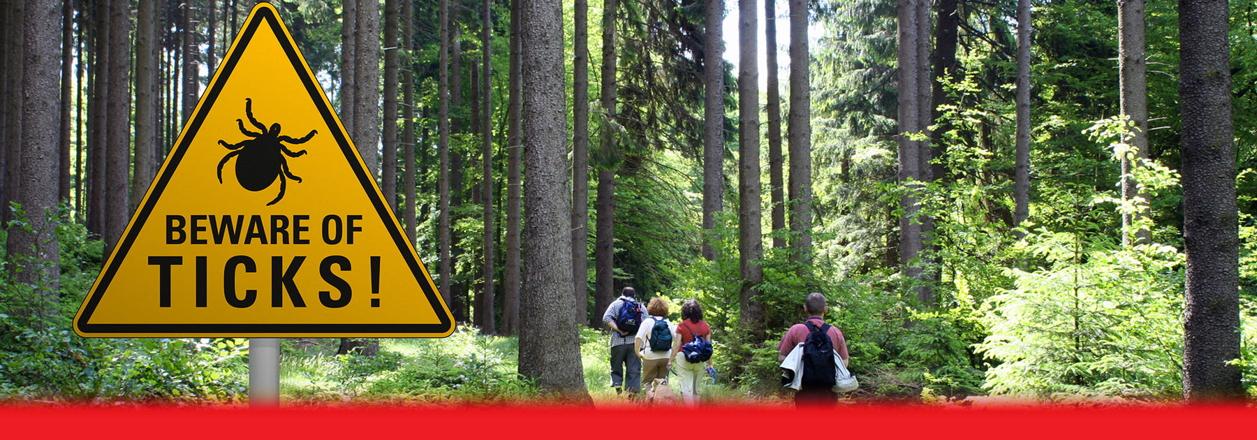 Tick warning in forest
