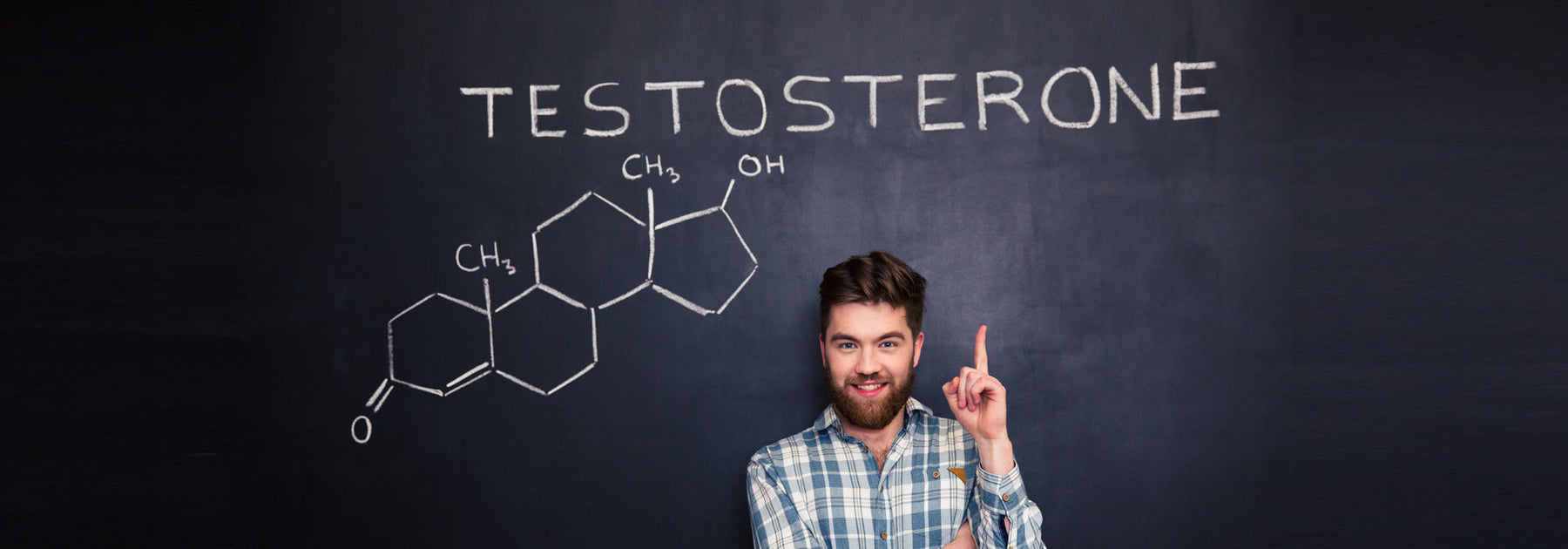 Male Testosterone