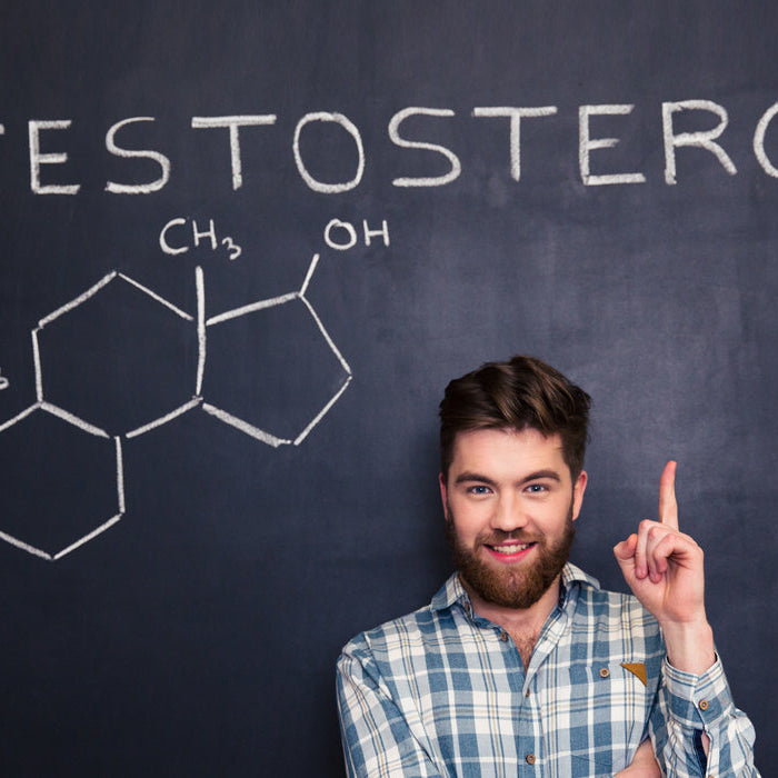 Male Testosterone