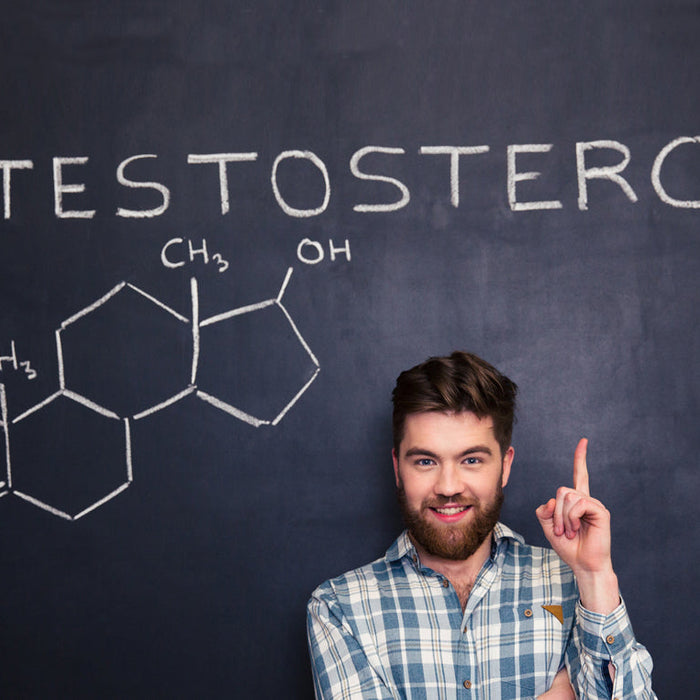 Male Testosterone