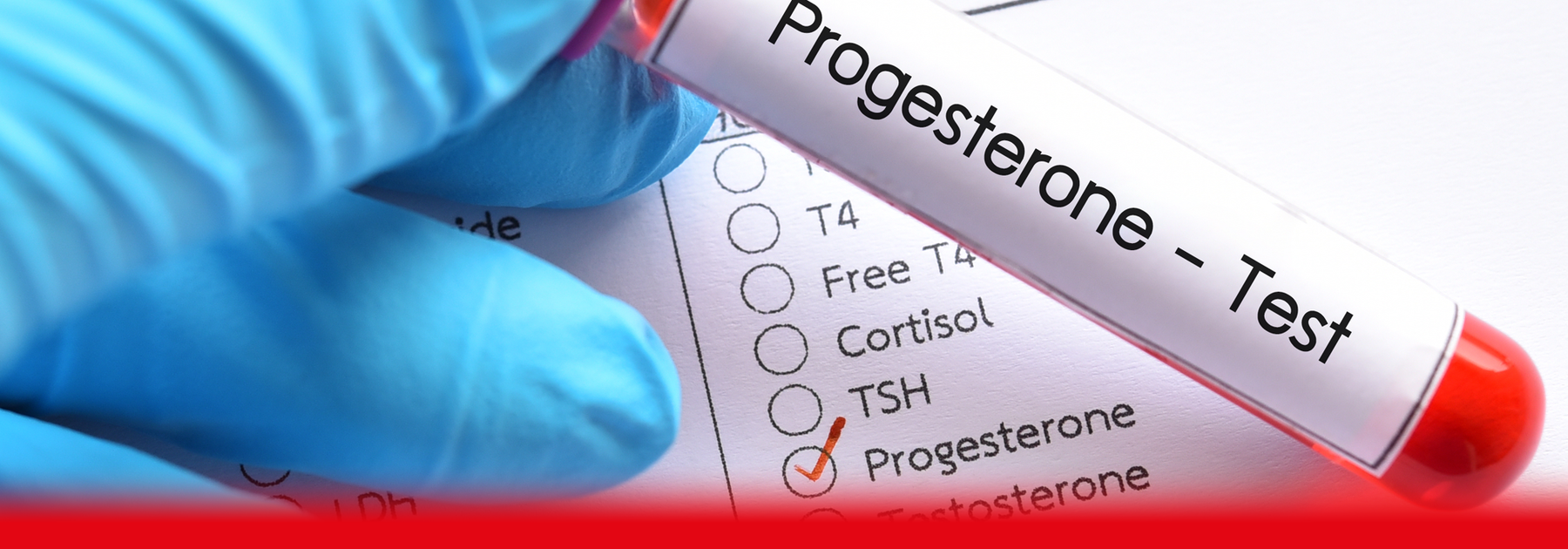 progesterone testing