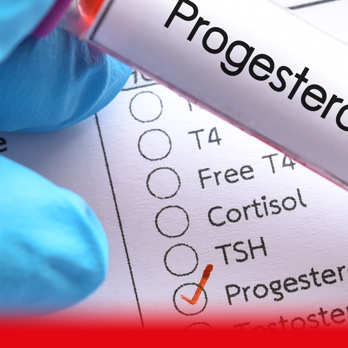 progesterone testing