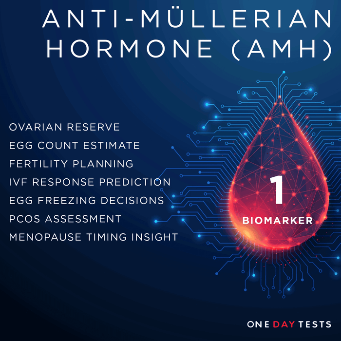 AMH Blood Test