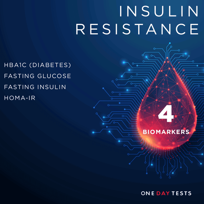 Insulin Resistance (HOMA-IR) Blood Test