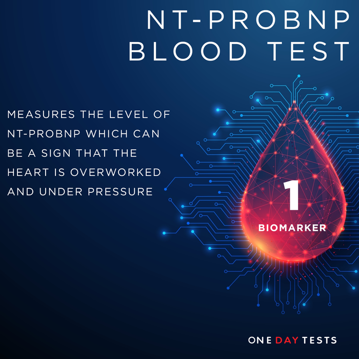 NT-proBNP Heart Strain Blood Test