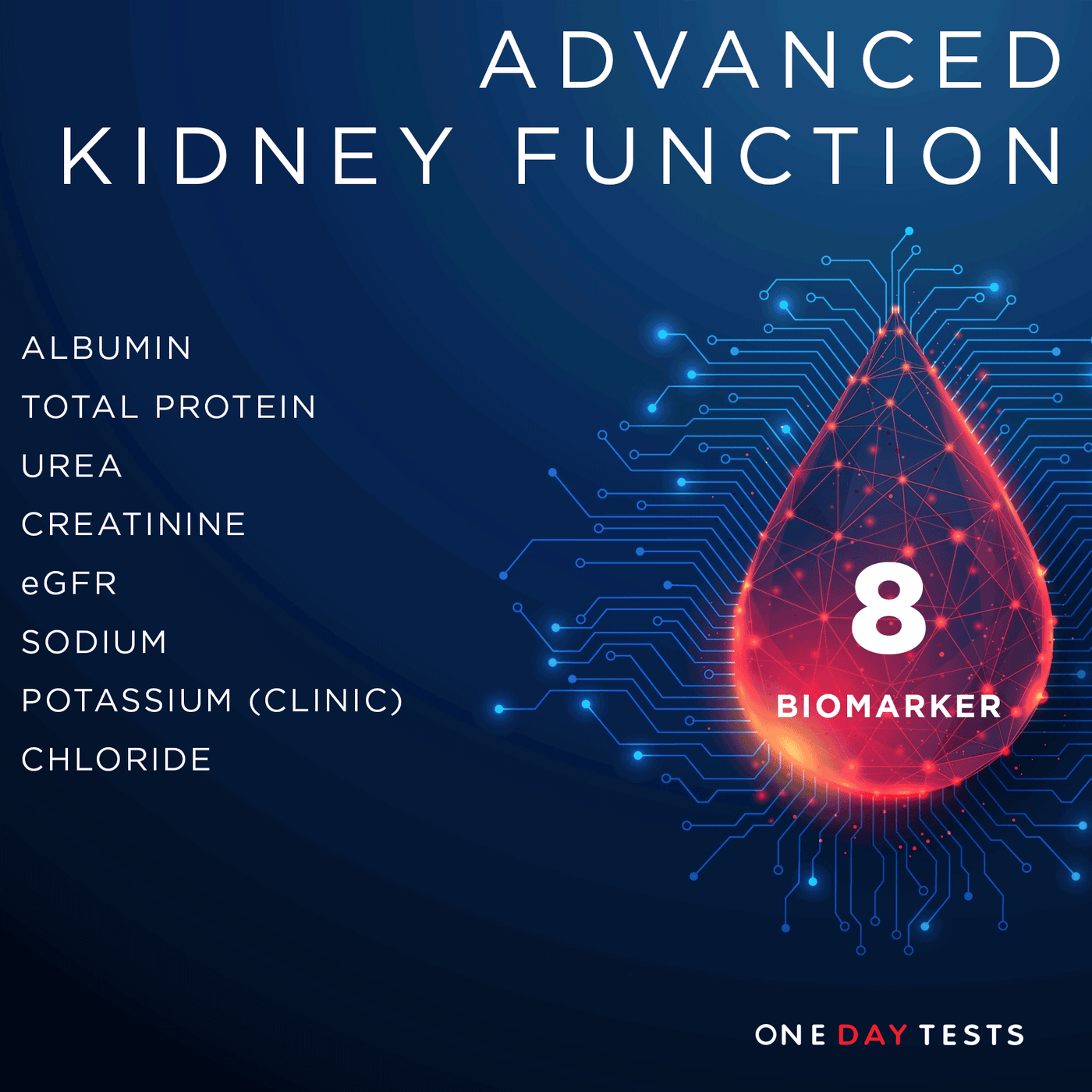 Advanced Kidney (Renal) Function Blood Test — onedaytests.com