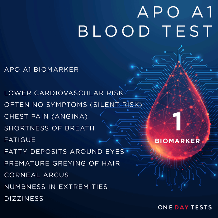 Apolipoprotein A1 (Apo A1) Blood Test