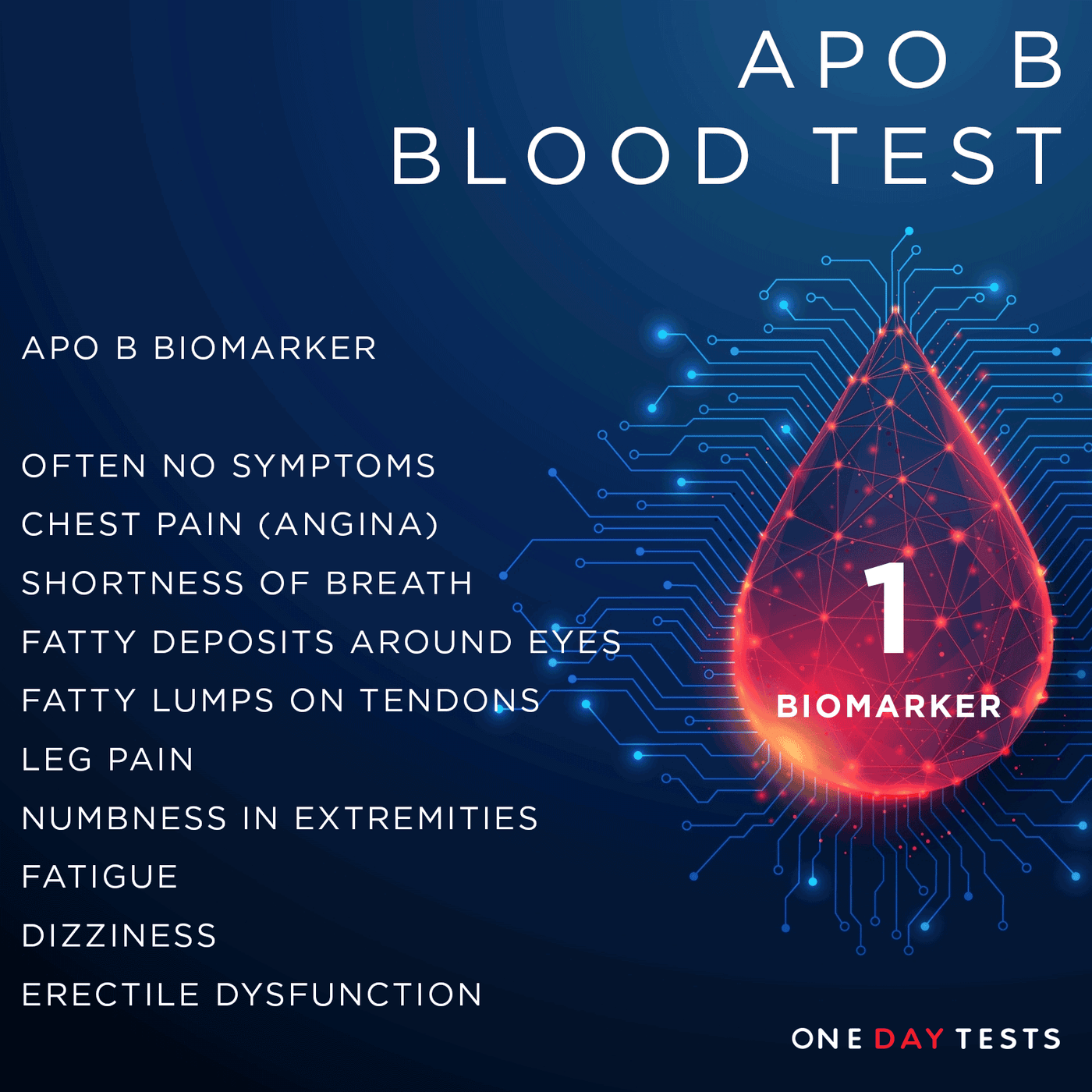 Apolipoprotein B Blood Test | Fast Results - One Day Tests ...