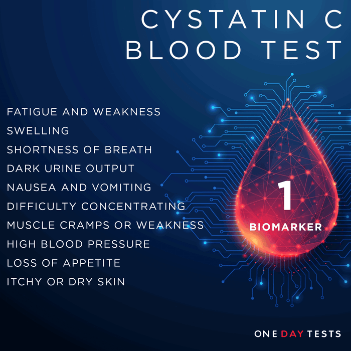 Cystatin C Blood Test