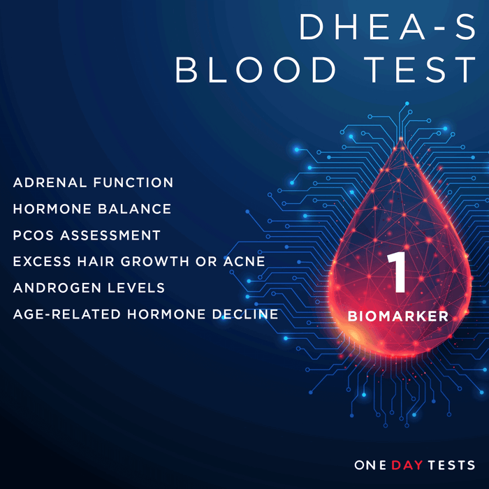 DHEA-S Blood Test