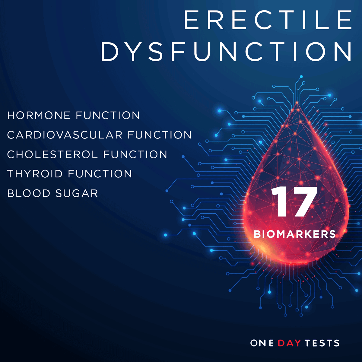 Erectile Dysfunction Blood Test | One Day Tests — onedaytests.com