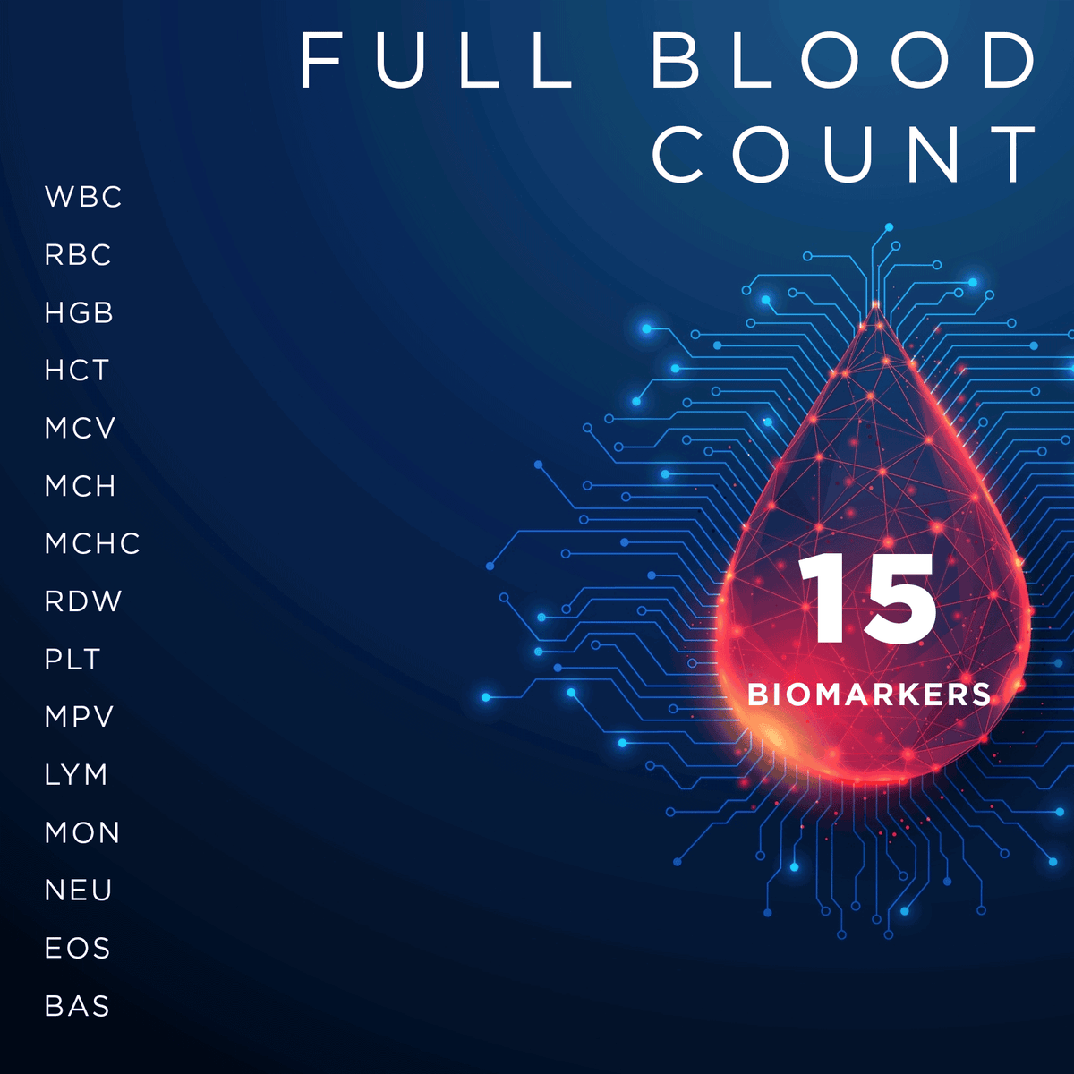 Full Blood Count (FBC/CBC) Blood Test — One Day Tests