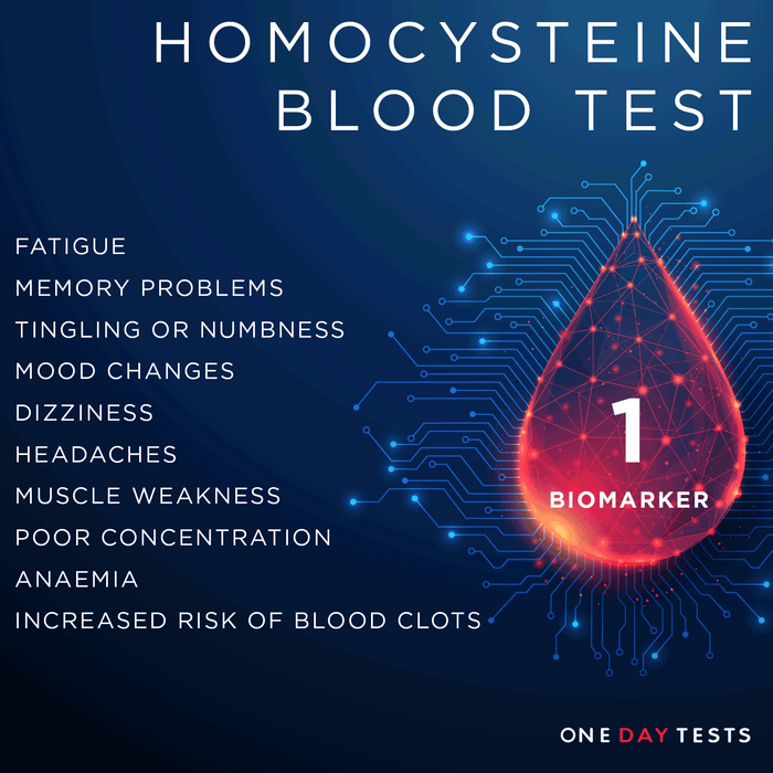 Homocysteine Blood Test