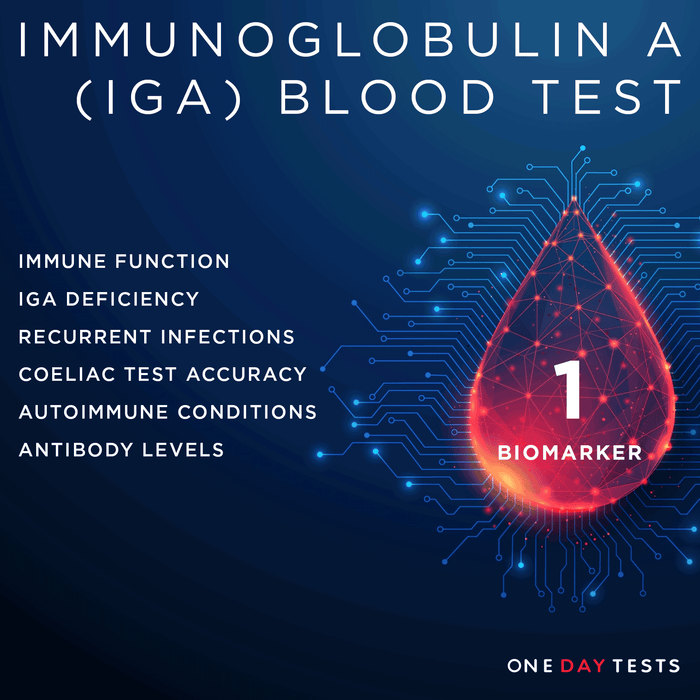 IgA Blood Test