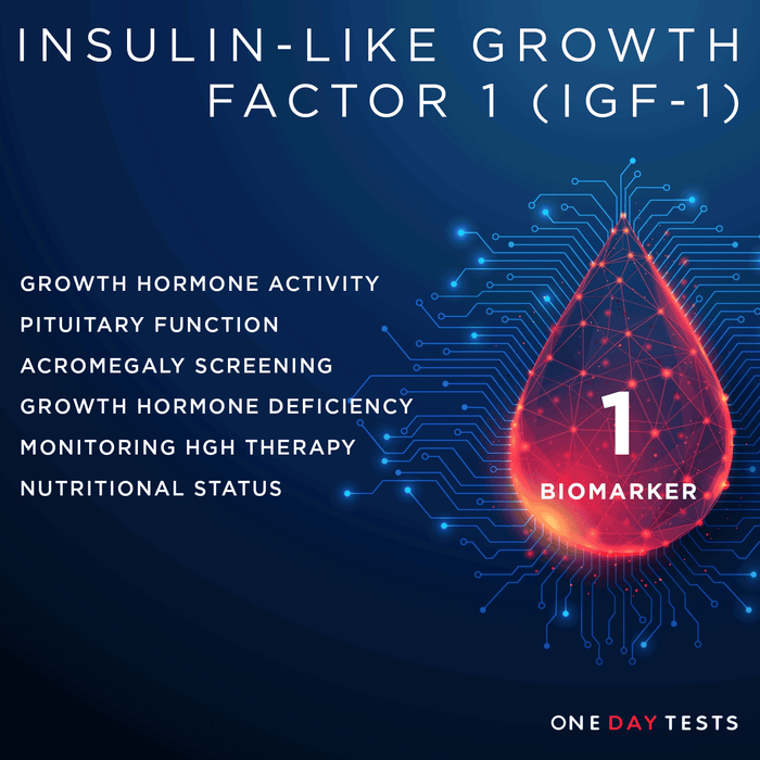Insulin Like Growth Factor 1 (IGF-1) Blood Test