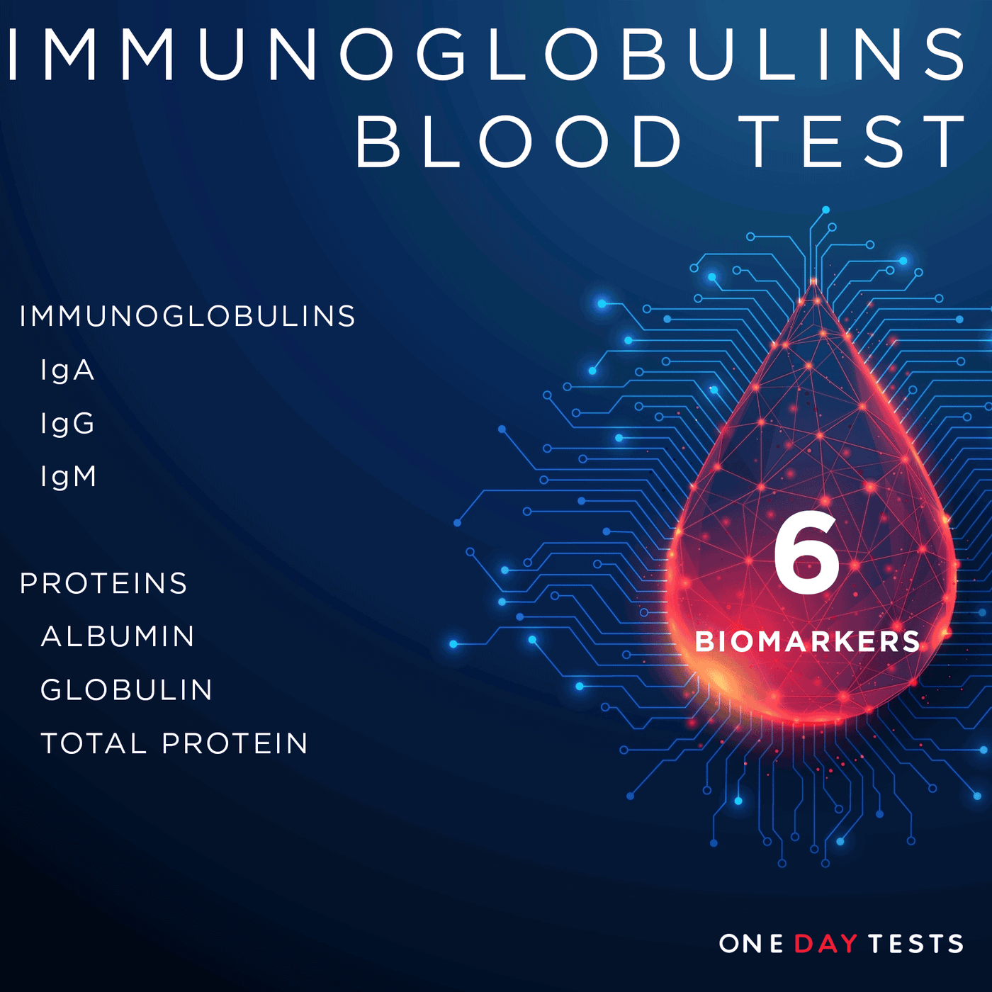 Immune System Blood Test | IgG, IgA & IgM | One Day Tests — onedaytests.com