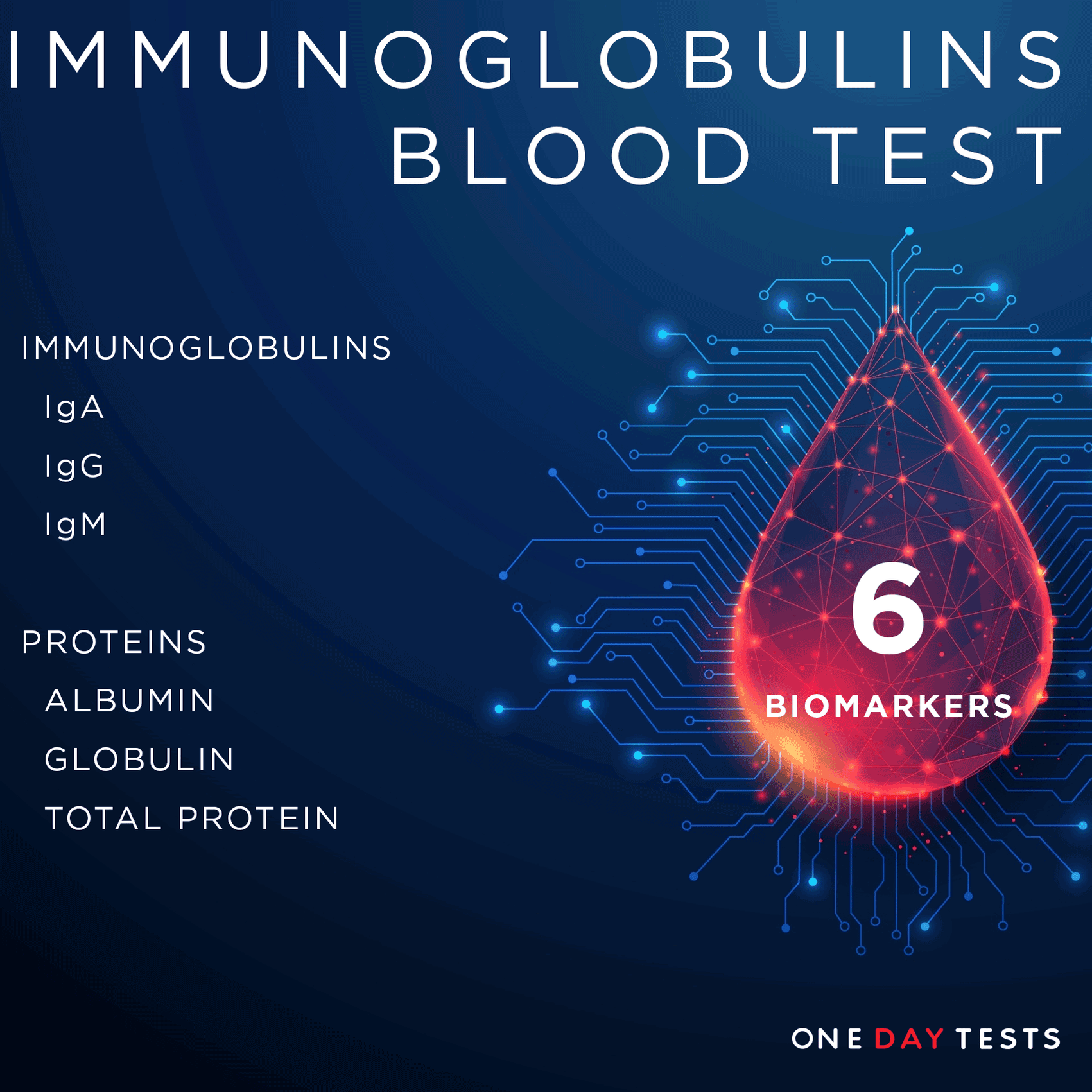 Immune System Blood Test | IgG, IgA & IgM | One Day Tests — onedaytests.com