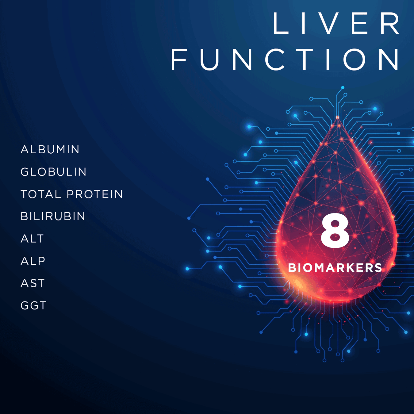 Liver