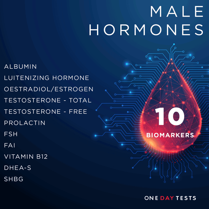 Male Hormones Blood Test