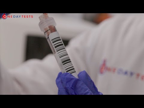 Monocytes (MON) - description and reference ranges — onedaytests.com