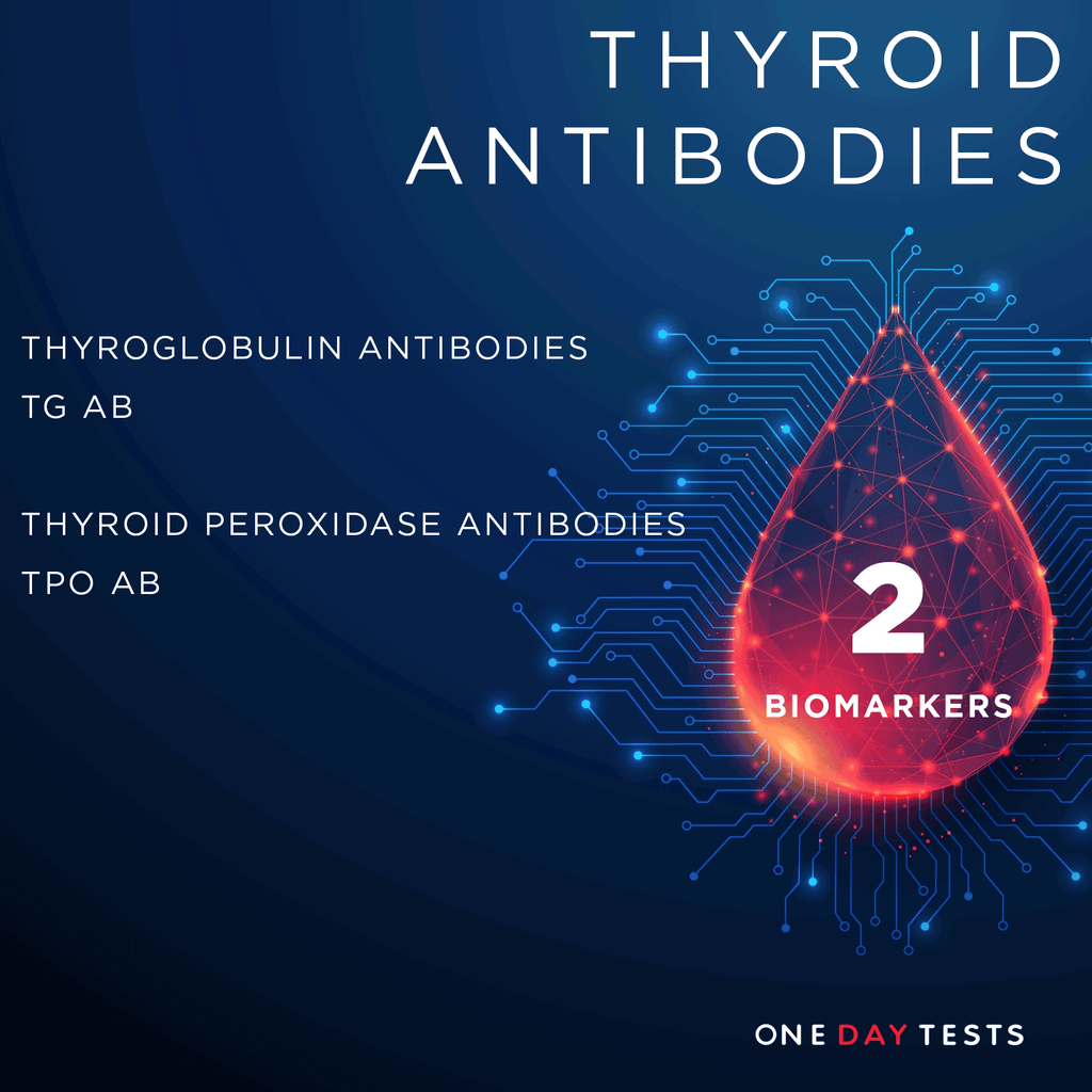 Thyroid Antibodies Blood Test