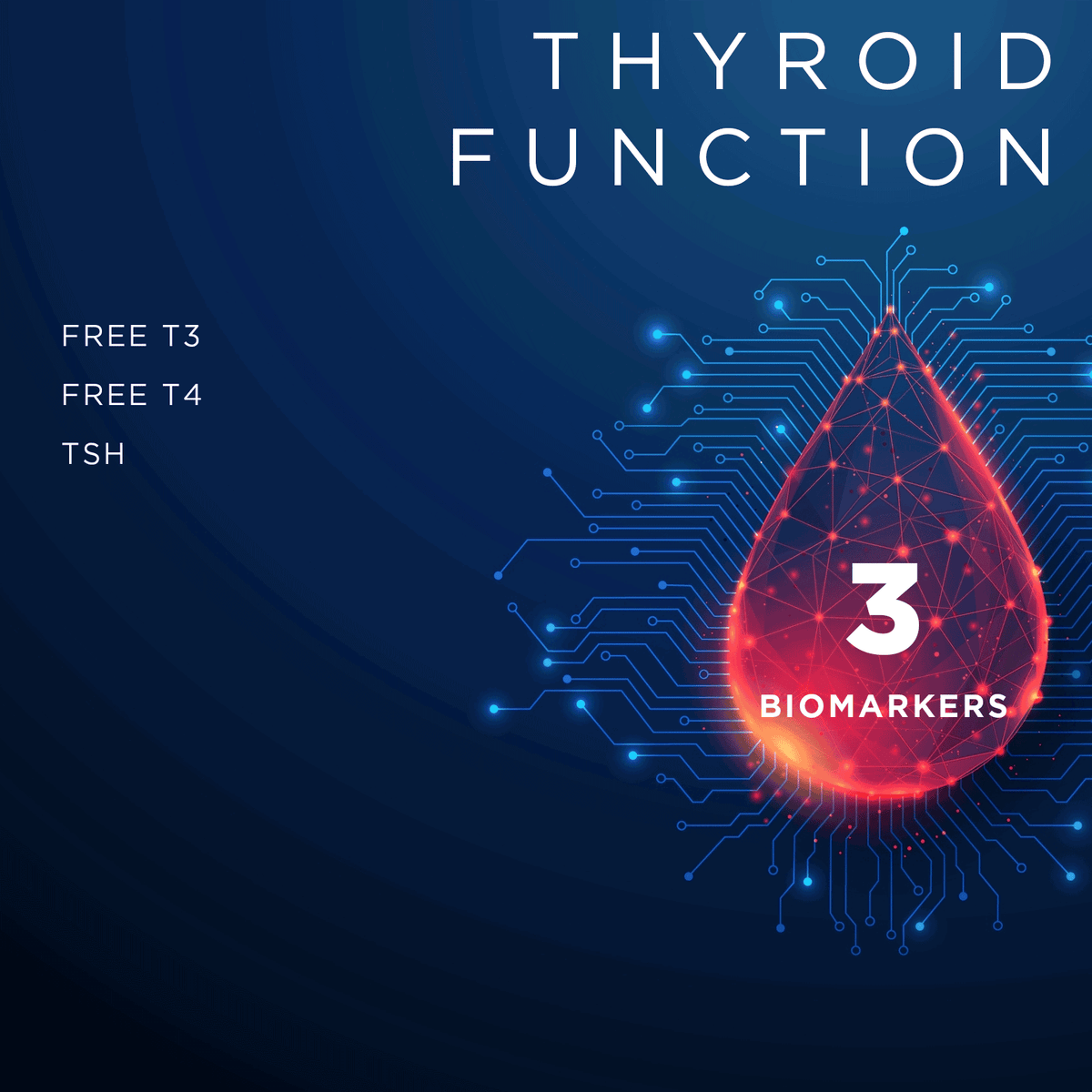 Thyroid Function Blood Test | Fast Results – One Day Tests ...