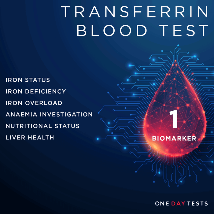 Transferrin Blood Test